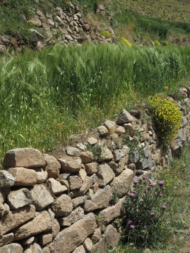 mur-sec_©VincentDelfosse