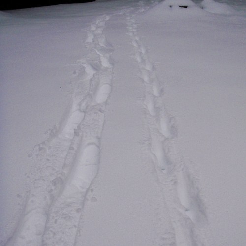 piste lynx et raquettes