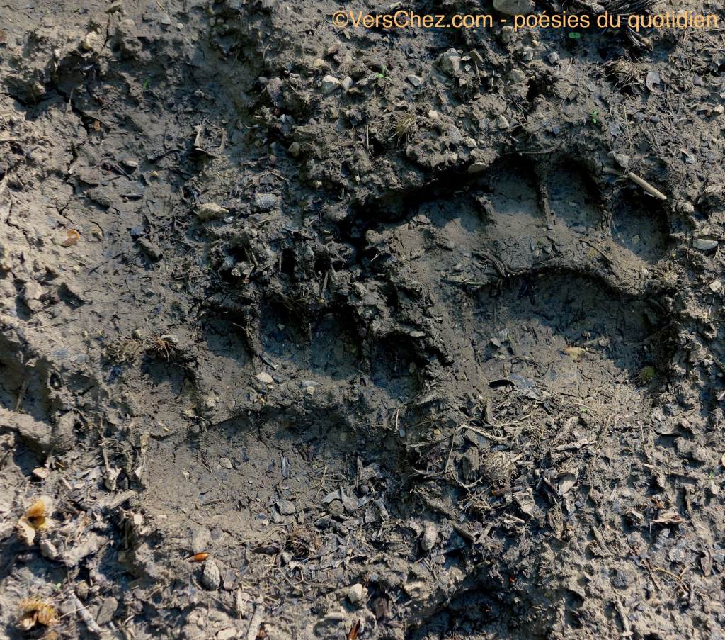 trace_ours_slovenie_VersChez.com