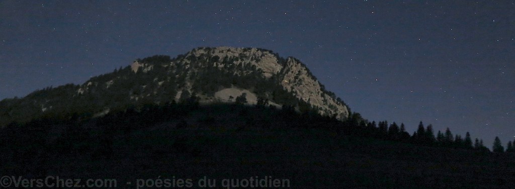 haiku-brame-cerf-poesie-nuit