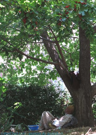 omar-cerises-haiku©VersChez.com