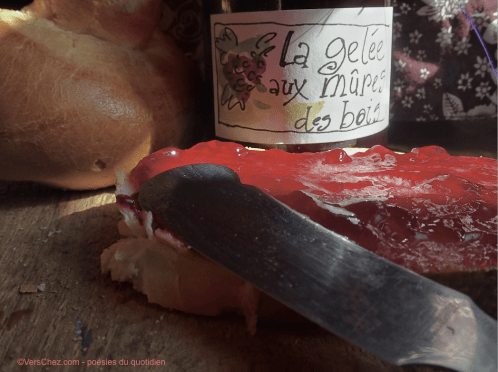 gelee-mures-haiku-tresse-ronces