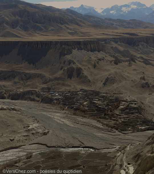 village-mustang-haiku