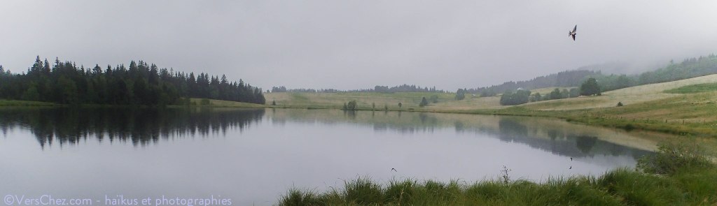 lac tourbiere hirondelle haiku