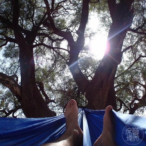 haiku-hamac-arbre-verschez