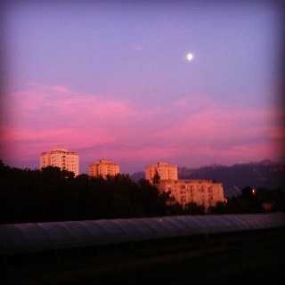 haiku-soir-ete-poesie