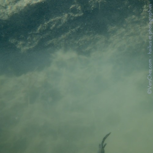 haiku-triton-marais-poesie-nu-VersChez