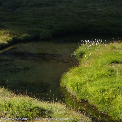haiku-linaigrette-ombre-tessin