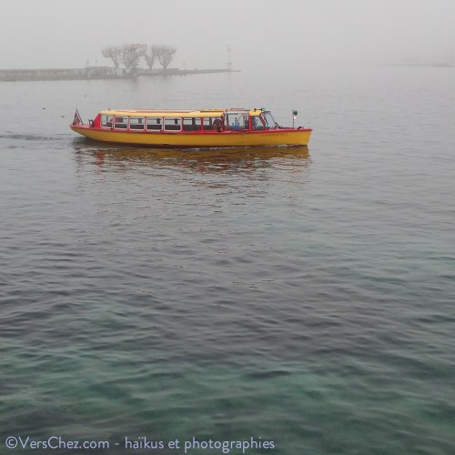 haiku-brouillard-geneve-mouette