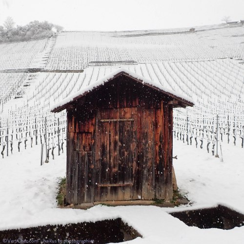 haiku-neige-cortaillod