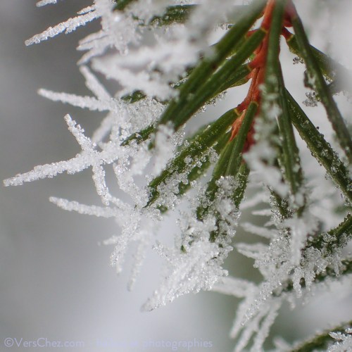 haiku-givre-dentelle-hiver