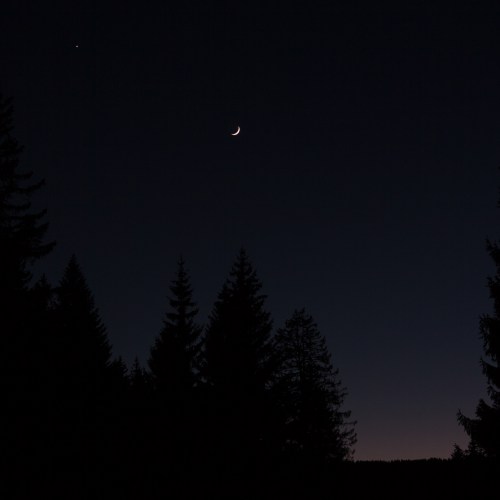 1-haiku-lune-chouette-hulotte