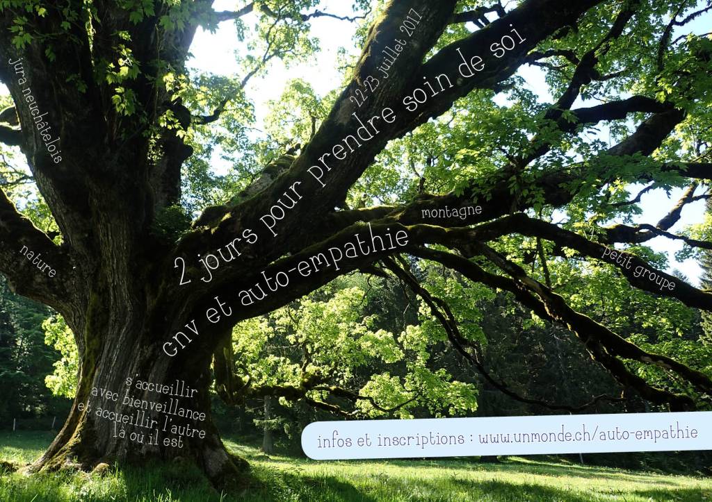 auto-empathie-juillet