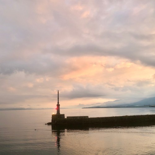 Un grèbe sort du port de Neuchâtel un soir de printemps pour un haïku
